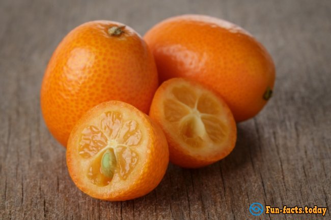 Citrus About Which You Had Never Heard