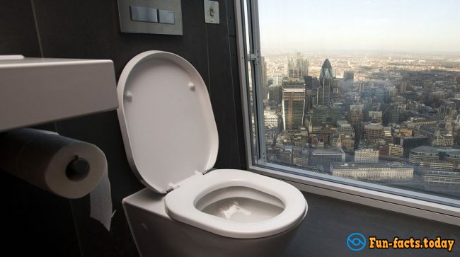 About Delicate: Top 5 Creative Lavatories In London