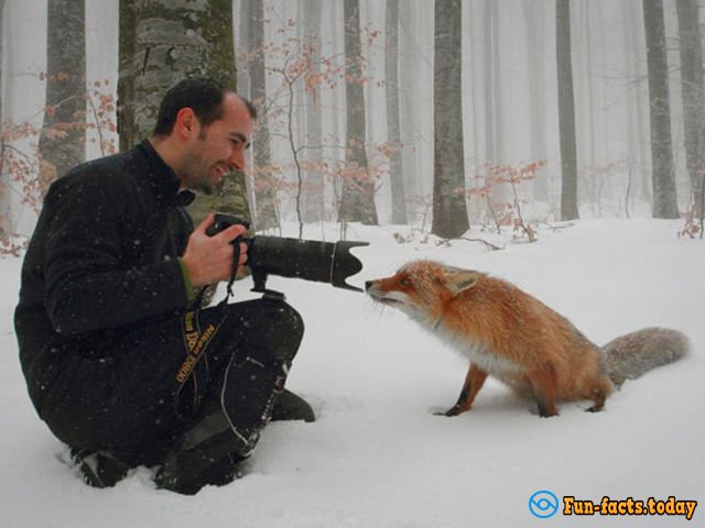 How To Make Cool Photos: 15 Time-Lapse Images That Amaze