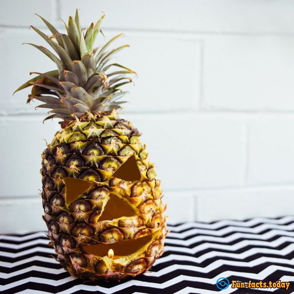 Unusual Trend for Halloween: People Use Pineapple Instead Of Pumpkin - And It Looks Very Nice