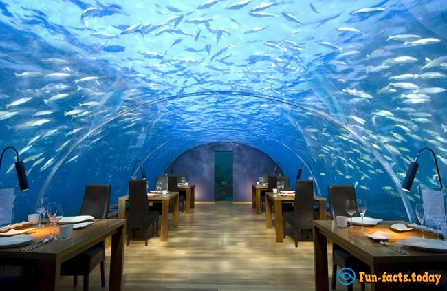 Underwater, In the Rock and In Snow: Where Is the Most Unusual Restaurant in the World?