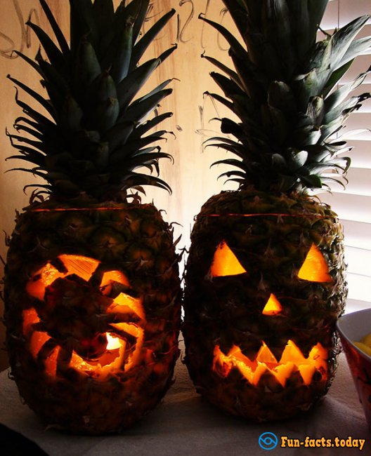 Unusual Trend for Halloween: People Use Pineapple Instead Of Pumpkin - And It Looks Very Nice