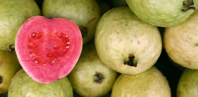 15 Fruity Facts About Guavas