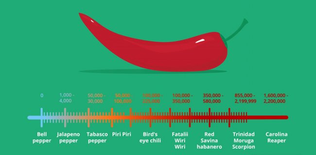 The Spiciest Chilies in the World