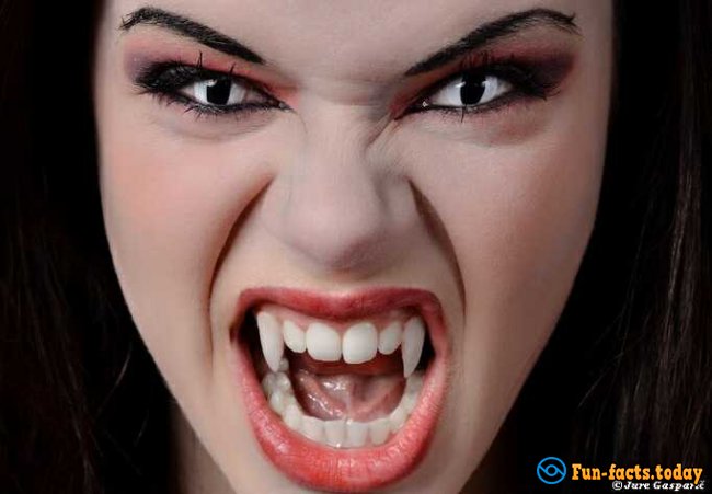 Facts about Vampire History