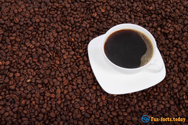 25 Facts about Coffee